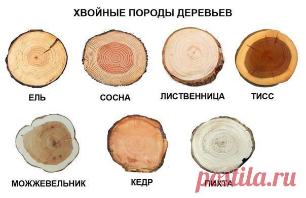 Мой Мир@Mail.Ru