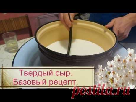 Наш первый твердый сыр