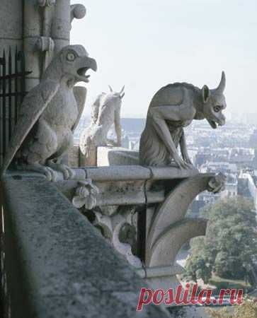 Ile de la Cité, Notre Dame Cathedral, Paris IV   |  Pinterest