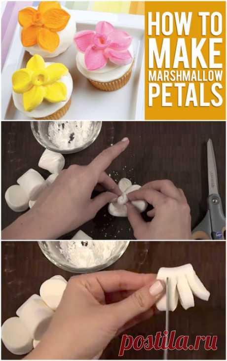 How to Top Your Cupcakes with Marshmallow Flowers - DIY &amp; Crafts
