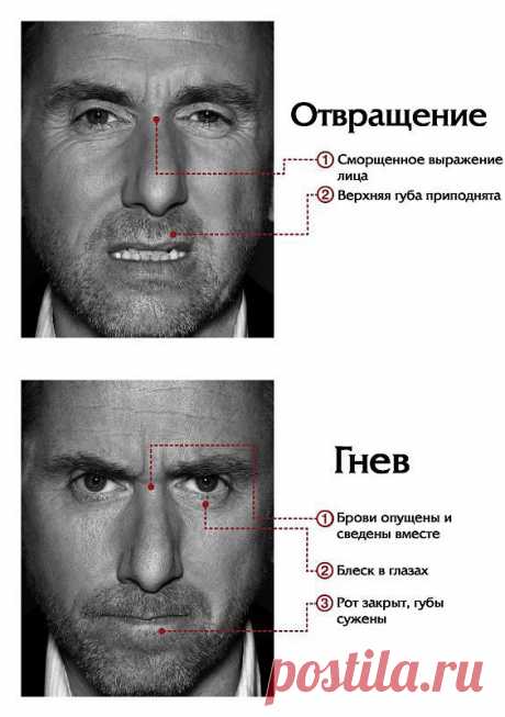 Мимика лица
