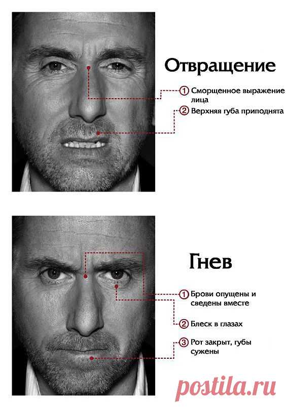 Мимика лица