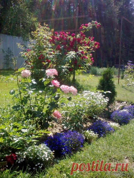 Сад Сергея Маланина | Самоцветик