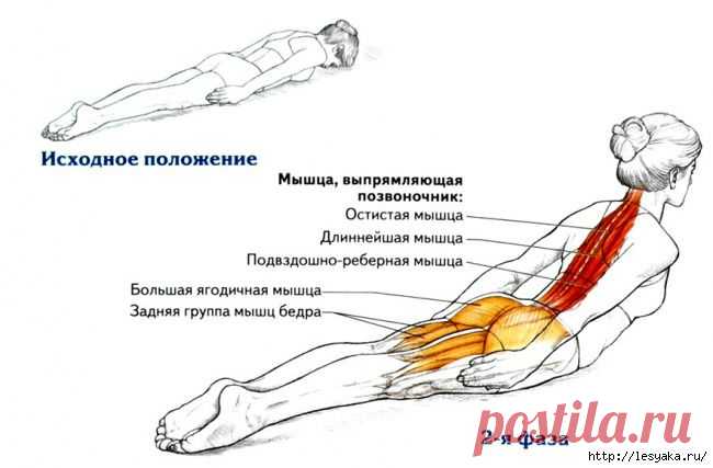 Всего одно упражнение для королевской осанки!