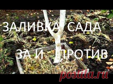 Садоводство Полезные советы