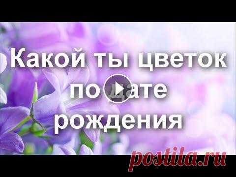 Какой ты цветок по дате рождения Цветочный гороскоп...