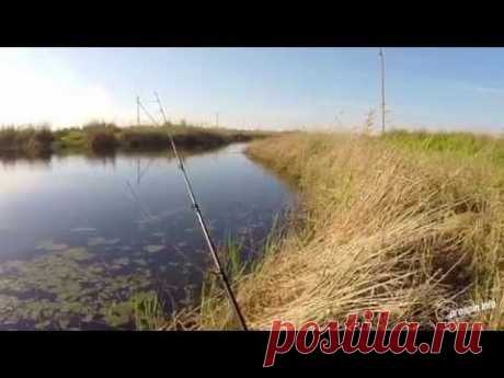 Ловля змееголова ранней весной - Early Spring Snakehead Fishing