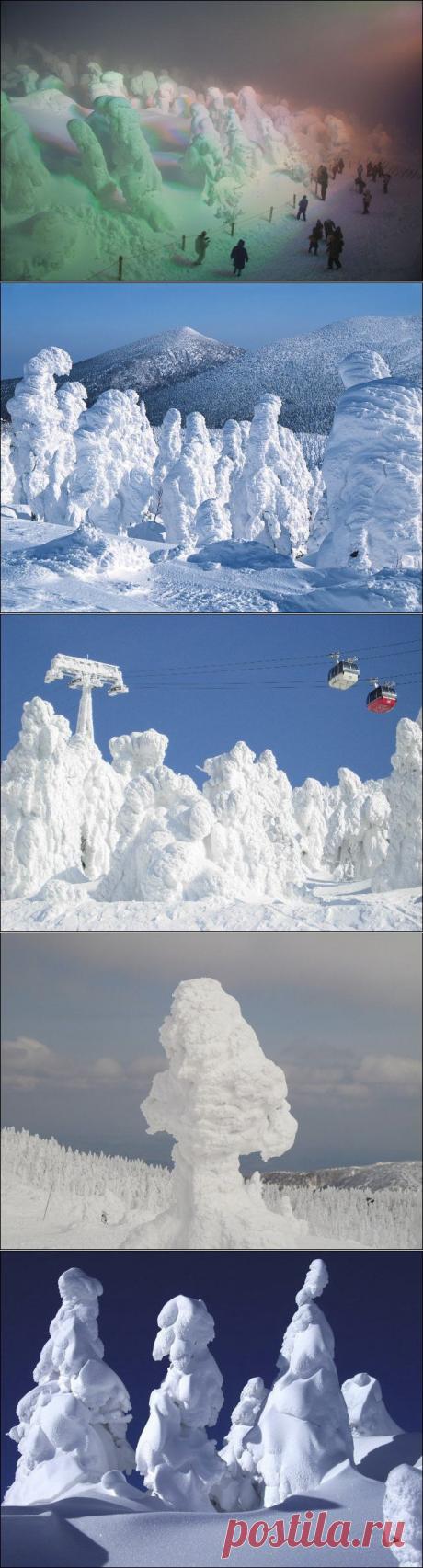 Японские «снежные монстры»