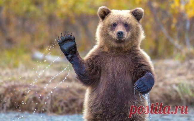 Лучшие фотографии года / Всё самое лучшее из интернета