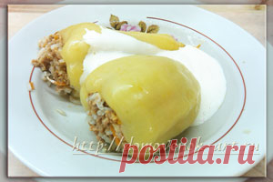 Перец фаршированный мясом и рисом