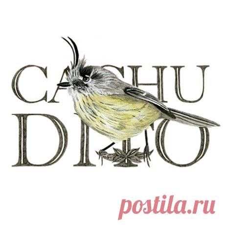 Francisca Mendez - Aves de Chile