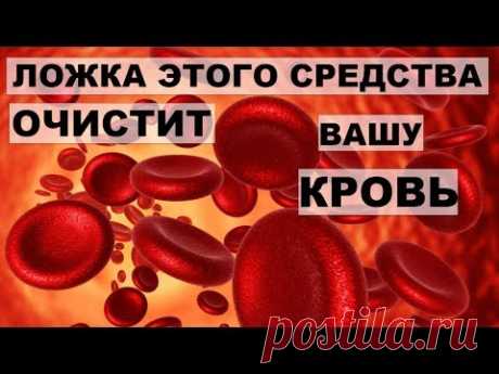 ЭХИНАЦЕЮ НЕ НАПРАСНО НАЗЫВАЮТ "ЧИСТИЛЬЩИКОМ КРОВИ." Лечебные свойства эхинацеи.