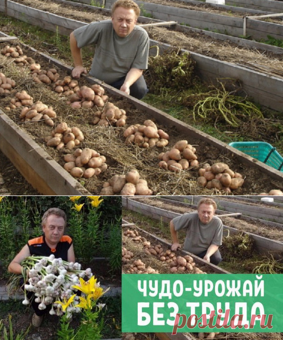 Науникальнейший огород Игоря Лядова!!! Оказывается, Высокие грядки — залог хорошего урожая!