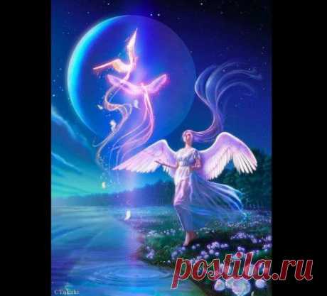 ЛЮДИ-ПТИЦЫ Сказки Эльфики. | Эксклюзив