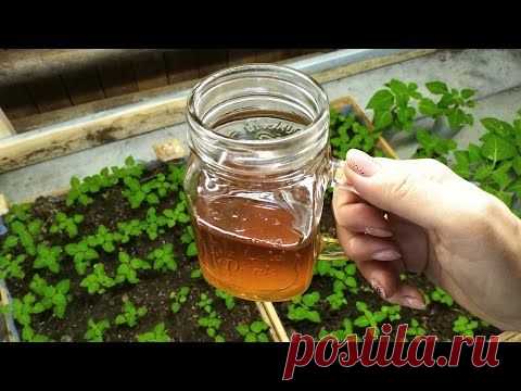 Видео от пользователя МОЙ МАЛЕНЬКИЙ ЦВЕТОЧНЫЙ БИЗНЕС ! на youtube
 · ·