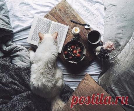 ТОП-9 книг, которые читаются за одну ночь