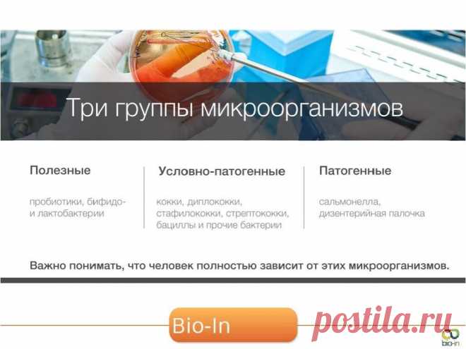 Вот то, что помогает человеку выжить-Био ин