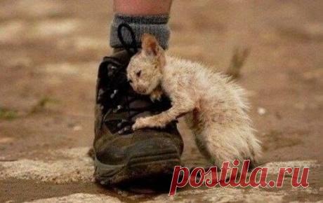 О вере, доверии и надежде