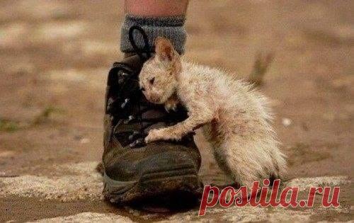 О вере, доверии и надежде