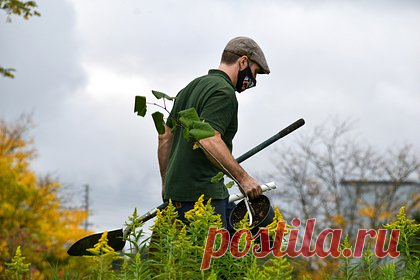 Для самых богатых людей Великобритании потребовали тюремные сроки за работорговлю