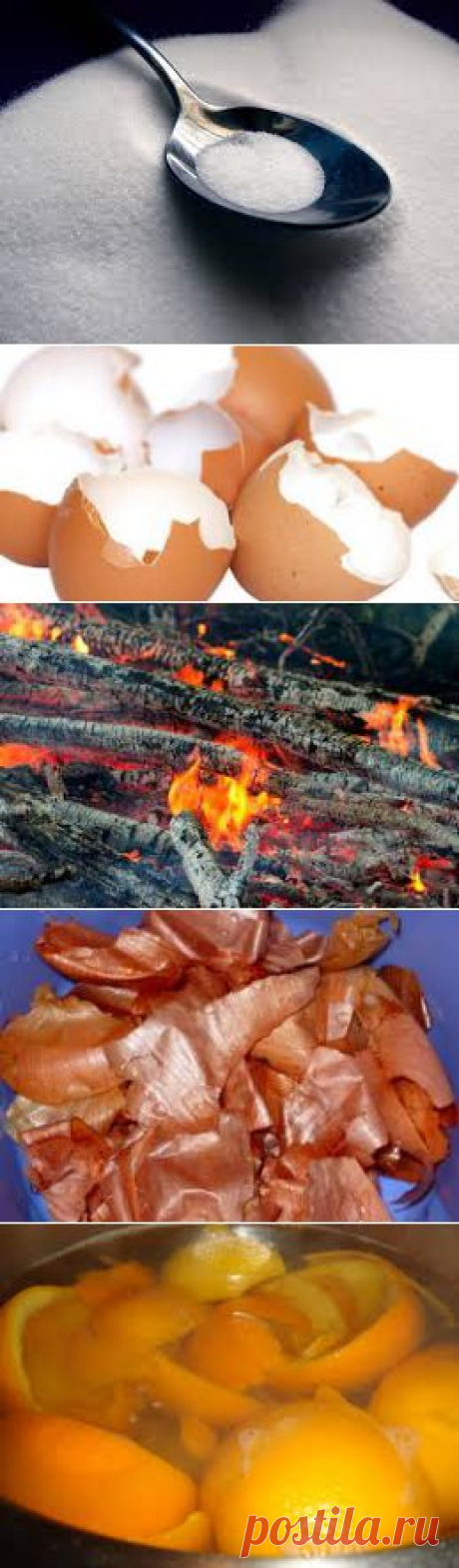 БАДЫ ДЛЯ КОМНАТНЫХ РАСТЕНИЙ