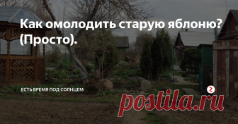 Как омолодить старую яблоню? (Просто). Эта история началась в 2011 году. Тогда мы приняли решение, что надо что-то делать со старой яблоней ...
