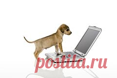 Установка Windows и хорошего настроения. Практическое руководство для чайников и самоваров