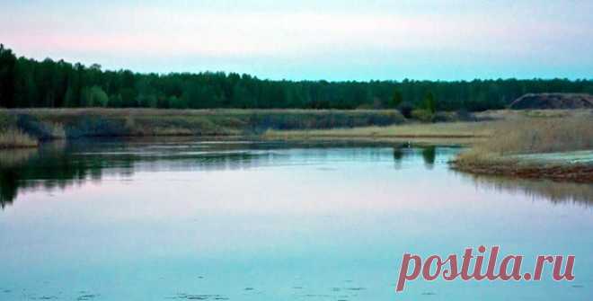Прокуратура Увельского района пояснила жителям, что берега водоёмов должны быть доступны для всех | Вся Округа