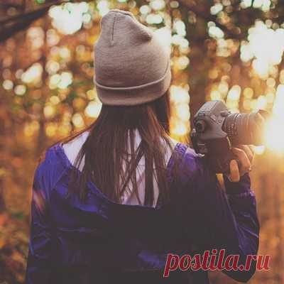 zanuda_raisa, смотри: цитата из мультфильмов, двух словах и многое другое специально для тебя! - zanuda_raisa@mail.ru - Почта Mail.Ru