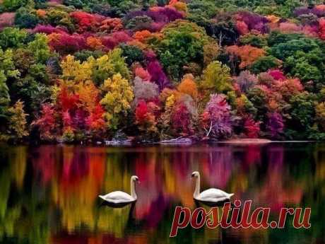 Мой Мир@Mail.Ru