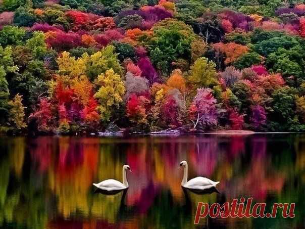 Мой Мир@Mail.Ru