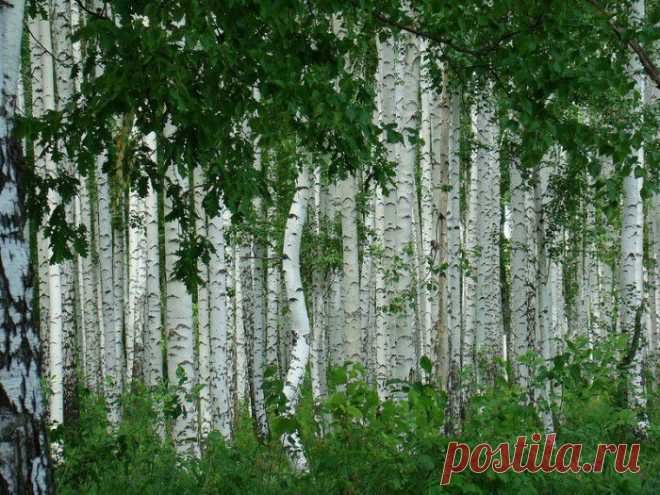 Красота русской природы в фотографиях