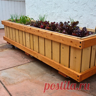 RollingPlanter - Ventura, CA, US 93001