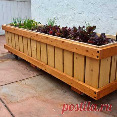 RollingPlanter - Ventura, CA, US 93001