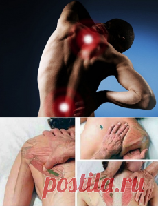 Письмо «❀ Секреты выращивания помидоров. Хитрости от визажиста. Компенсация за ошибку. Шашлык из курицы. Напряжение в спине. Интерьерные идеи» — Постила — Яндекс.Почта