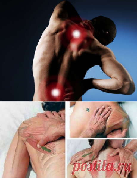 Письмо «❀ Секреты выращивания помидоров. Хитрости от визажиста. Компенсация за ошибку. Шашлык из курицы. Напряжение в спине. Интерьерные идеи» — Постила — Яндекс.Почта