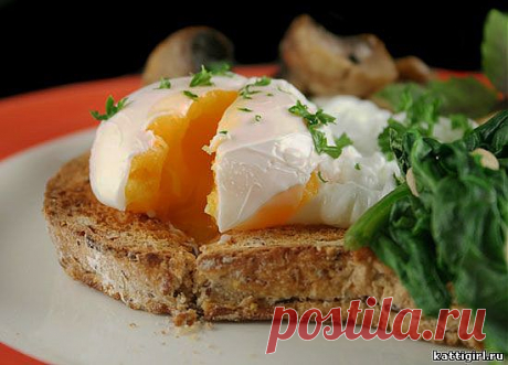 Как приготовить яйцо пашот рецепт - Рецепты на завтрак - Кулинарные Рецепты с Фото - Женский сайт обо всем