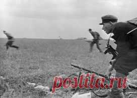 На Восточный фронт не распространялась Женевская конвенция | ИноСМИ - Все, что достойно перевода