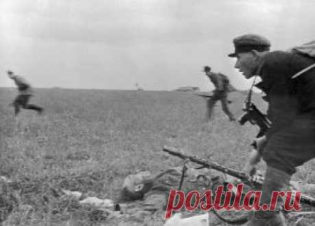 На Восточный фронт не распространялась Женевская конвенция | ИноСМИ - Все, что достойно перевода