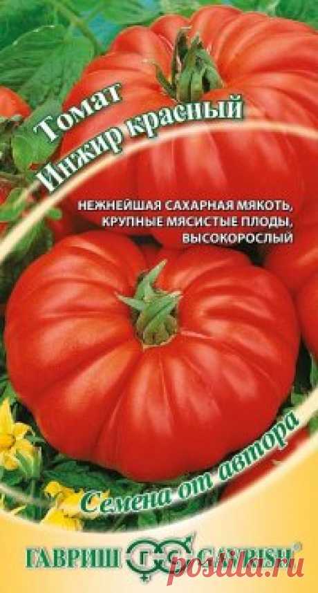 Семена. Томат "Инжир красный" (вес: 0,1 г) Всхожесть: 95%.
Новый среднеранний сорт с потрясающе вкусной и ароматной мякотью. Растение индетерминантное, высокорослое, для выращивания в теплицах и открытом грунте (южные регионы, с подвязкой к кольям). Плоды ребристые у основания, очень крупные, мясистые, многокамерные, массой до...