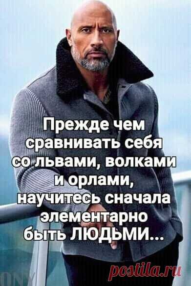 Яндекс.Картинки: поиск похожих изображений