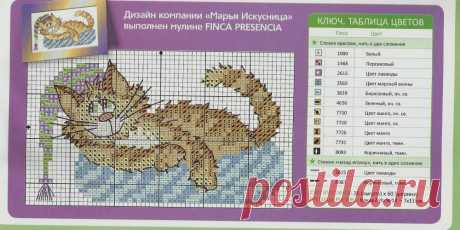 1000х500