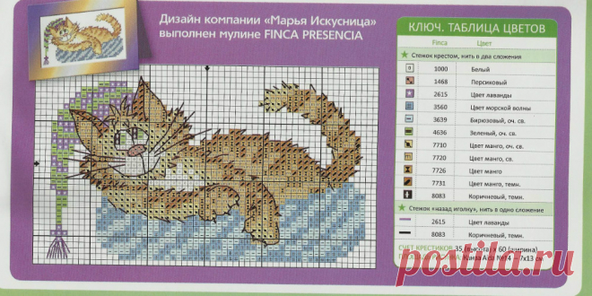 1000х500