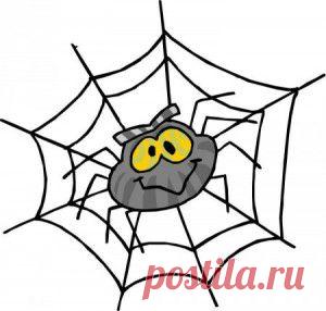 Ассоциативный тест «Паук» | ROFL Тесты Психология