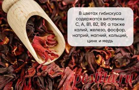 Что такое гибискус и каркаде?