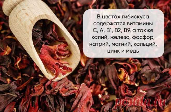 Что такое гибискус и каркаде?