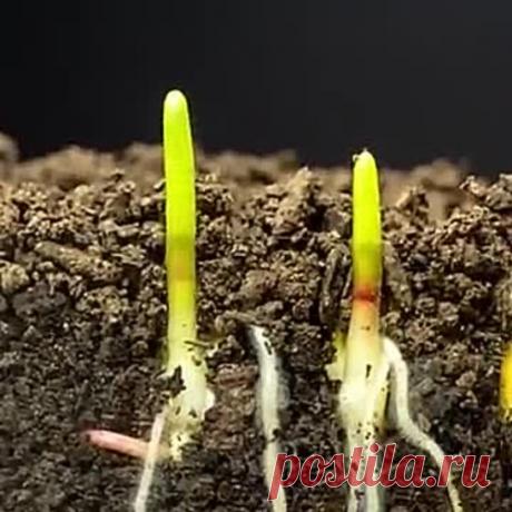 Век живи-век учись