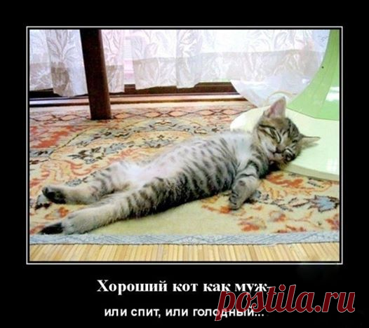 facebook приколы, юмор, шутки, анекдоты facebook, позитив, ржака, 
лучшая подборка приколов. ПРИКОЛЫ ЮМОР ШУТКИ ツ группа фейсбук