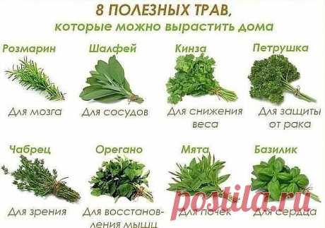 То, что сделает с твоей печенью 1 стакан этого напитка, можно назвать настоящим чудом! 

Если печень перегружена или плохо работает, мы сразу же это чувствуем. Слабость, нехватка энергии, головокружение, тошнота, боль в правом подреберье, проблемы с пищеварением и кожная сыпь — всё это признаки того, что с печенью непорядок. 

Очищение печени в домашних условиях возможно благодаря простому рецепту мятно-лимонного напитка! Абсолютно безопасное средство, которое тут же улучш...