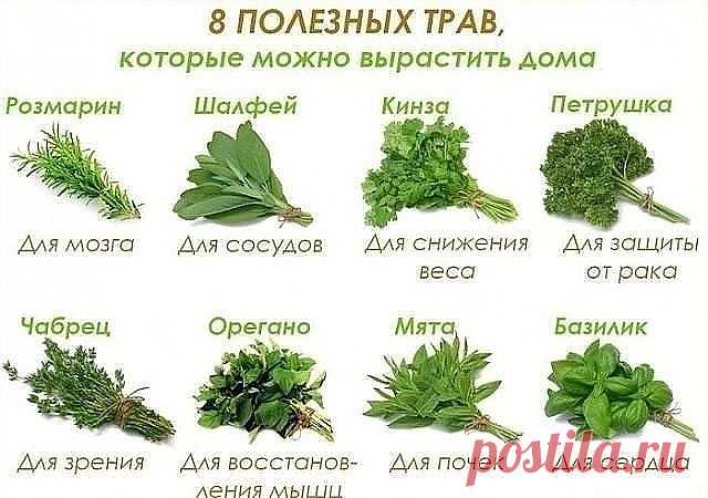 То, что сделает с твоей печенью 1 стакан этого напитка, можно назвать настоящим чудом! 

Если печень перегружена или плохо работает, мы сразу же это чувствуем. Слабость, нехватка энергии, головокружение, тошнота, боль в правом подреберье, проблемы с пищеварением и кожная сыпь — всё это признаки того, что с печенью непорядок. 

Очищение печени в домашних условиях возможно благодаря простому рецепту мятно-лимонного напитка! Абсолютно безопасное средство, которое тут же улучш...